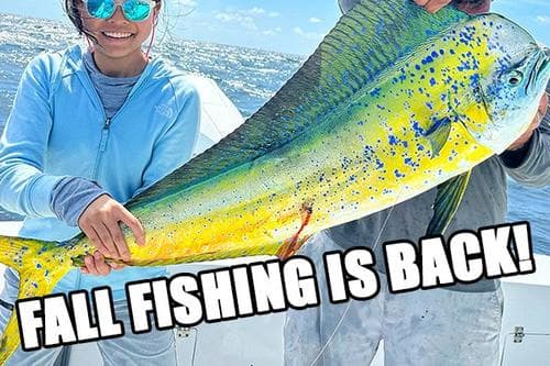 Fort Lauderdale Premier Deep Sea Fishing – Fort Lauderdale