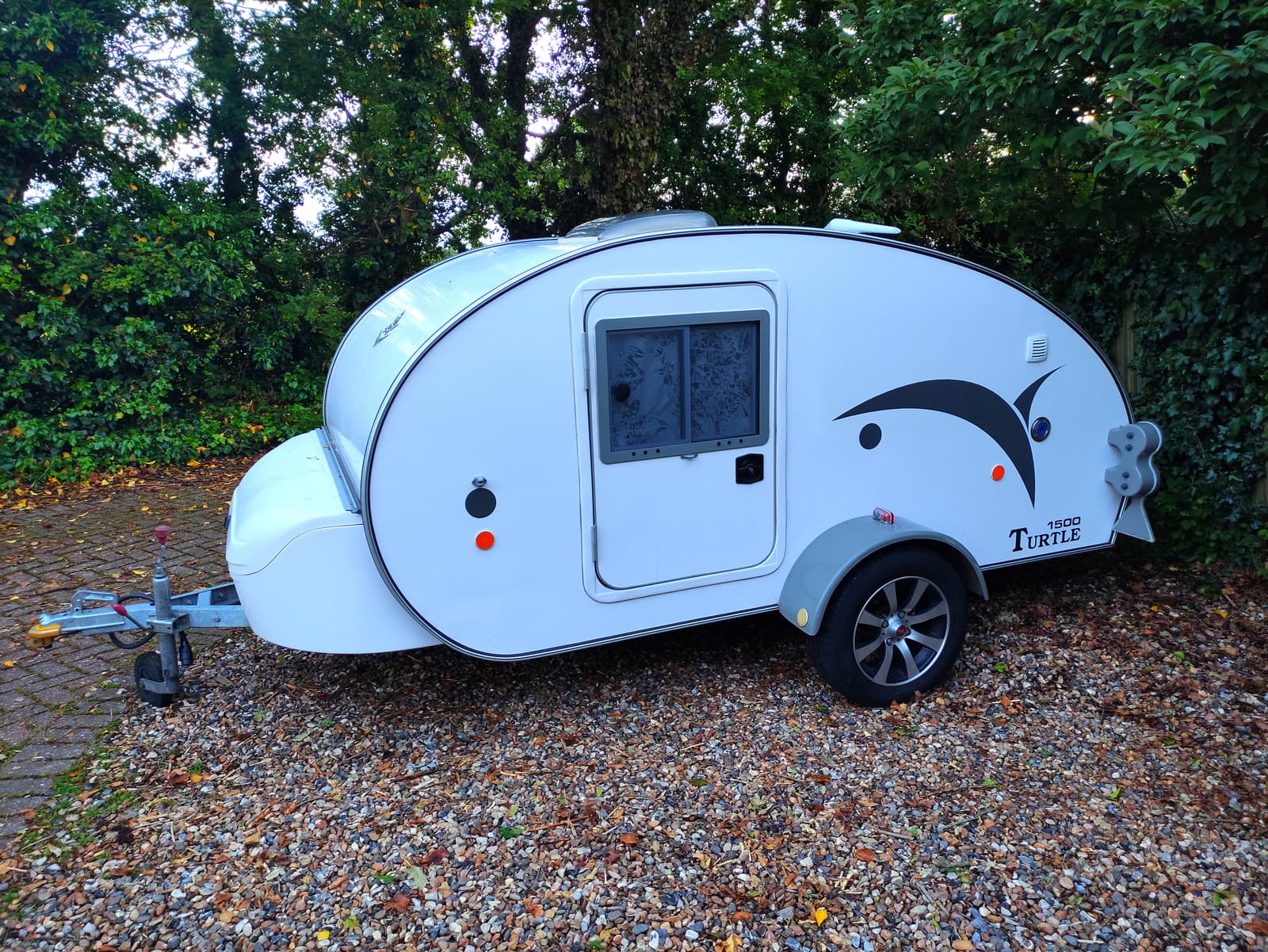 Myrtle the Turtle – Canterbury
