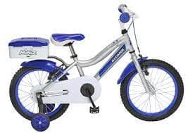 16-Inch Bike