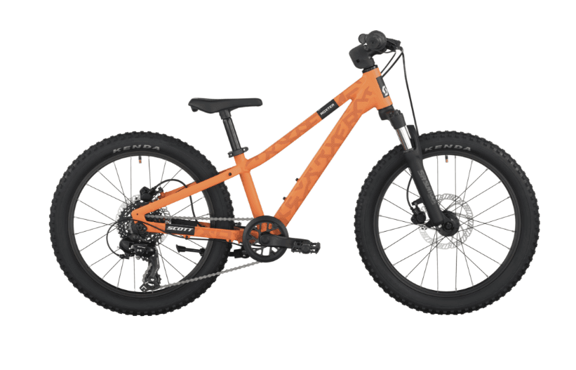 20-Inch Bike