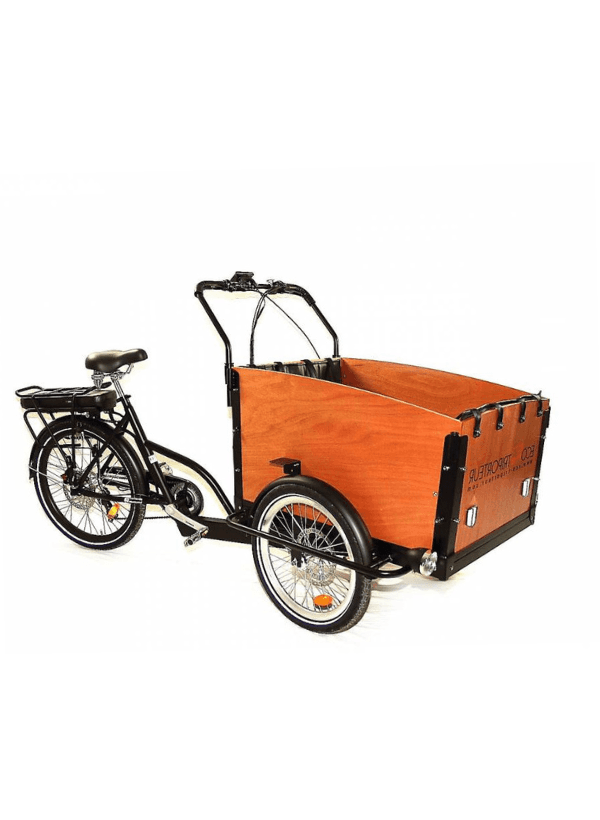 63 Electric Cargo Tricycle "Family & Dog" – Comfort on 3 wheels