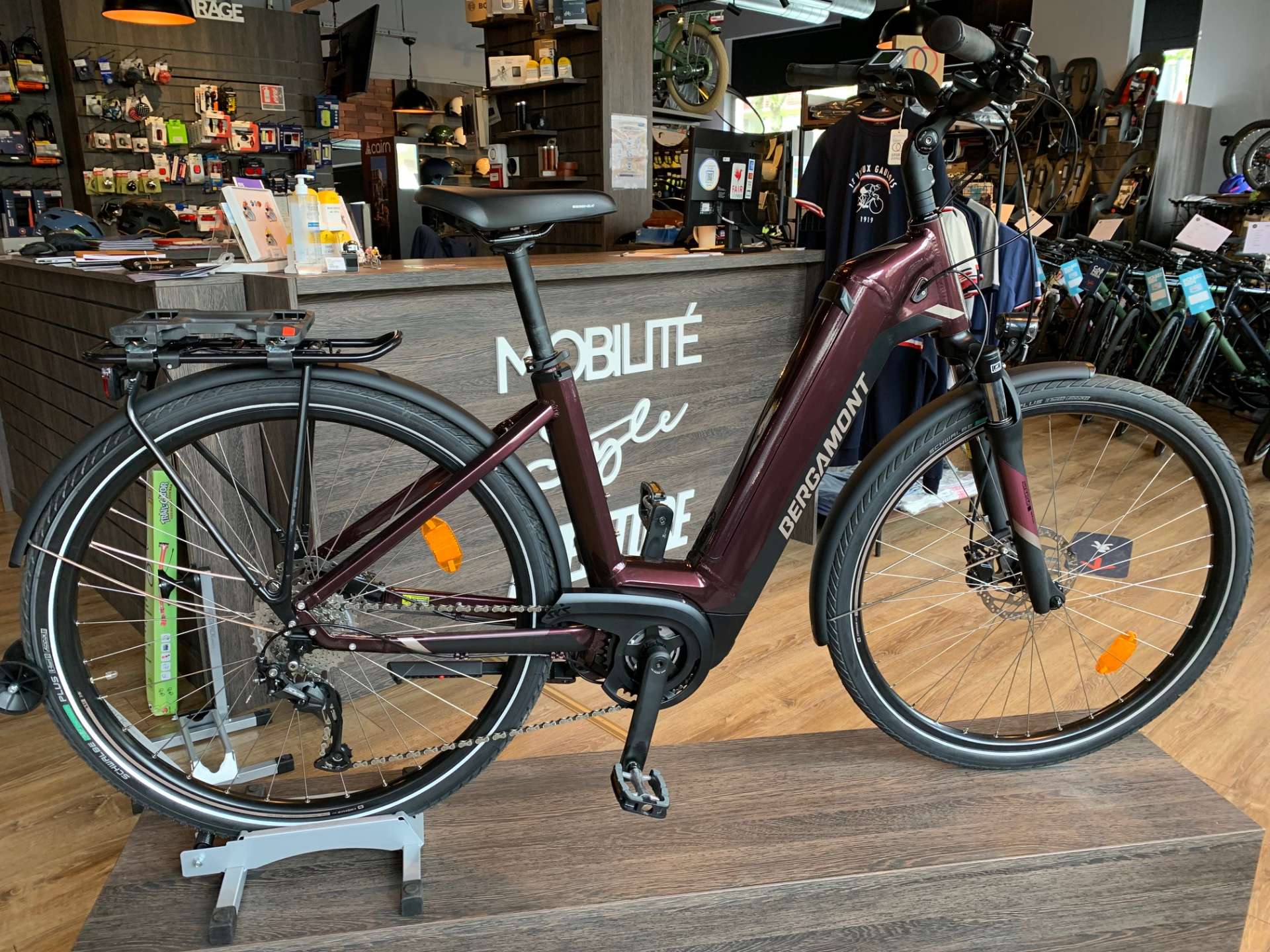 All-Terrain and City Electric Bike BERGAMONT TOUR 400 WAVE