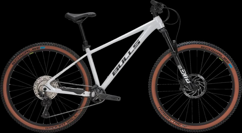 BULLS DURO Semi-Rigid Mountain Bike (Size M, 1.75m-1.85m)