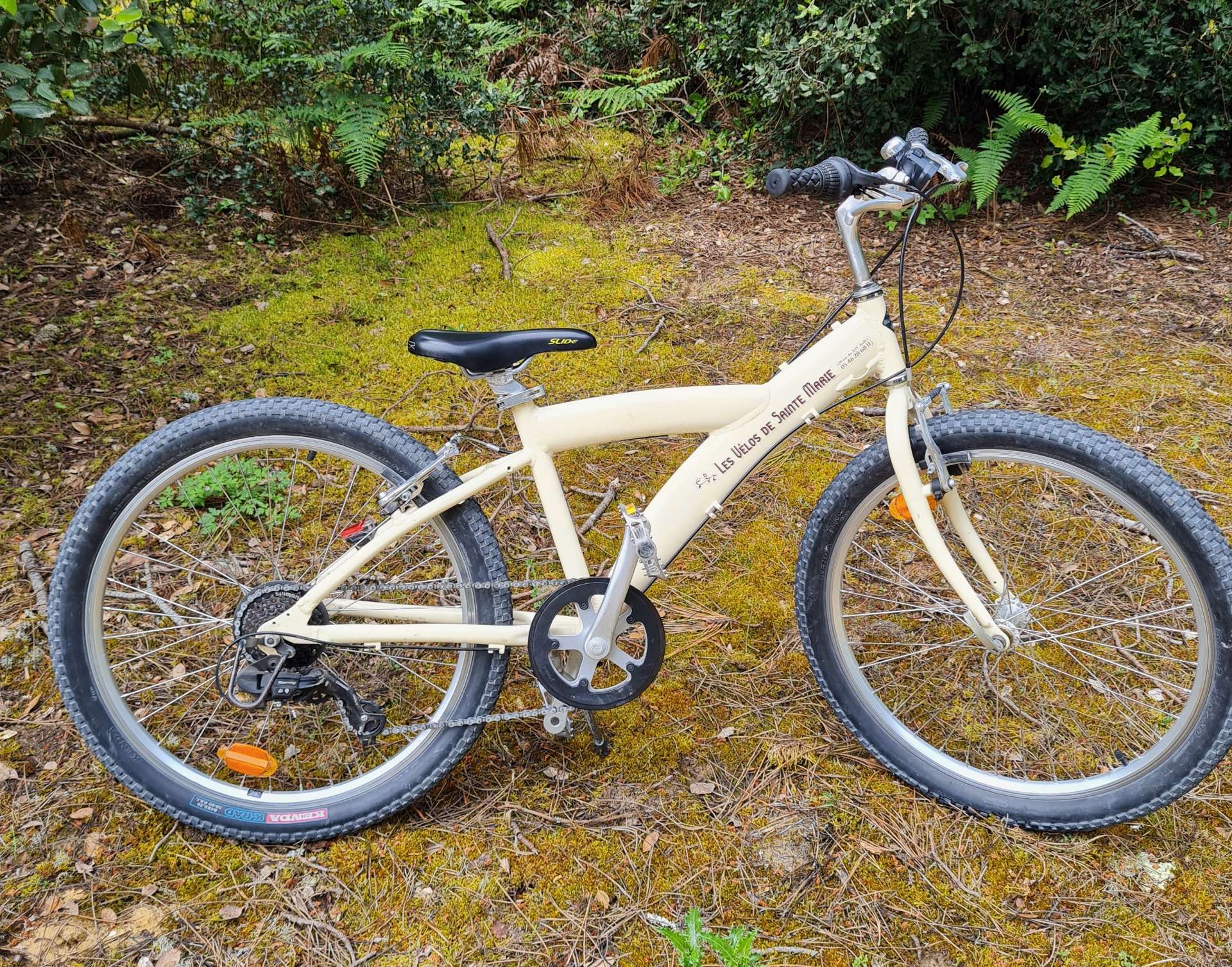 Child Bike 24 inches