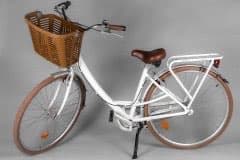CLASSIC ADULT BIKE