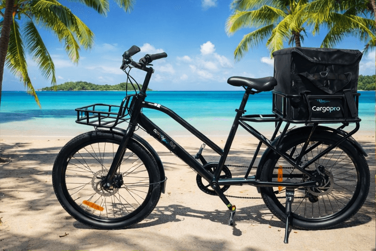 CX01 All-Terrain Cargo Bike - Adult 195*65*134 – Bouillante