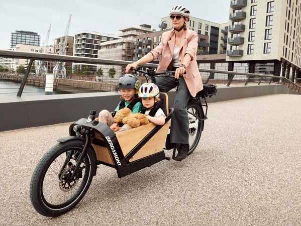 E-Cargoville LJ Edition electric cargo bike