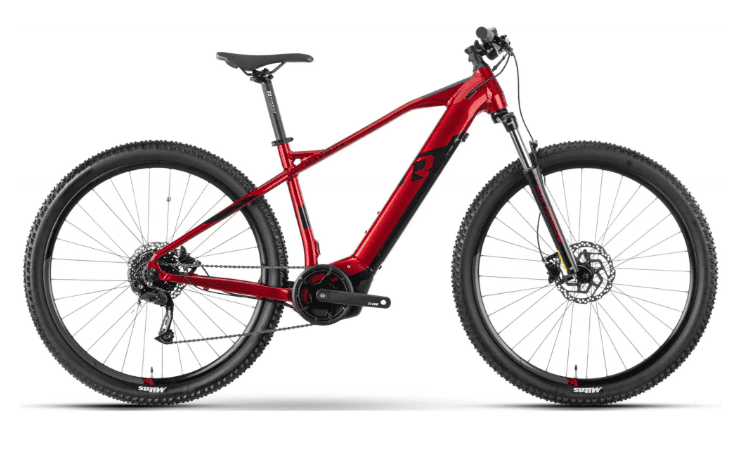 E Mountain bike L - XL