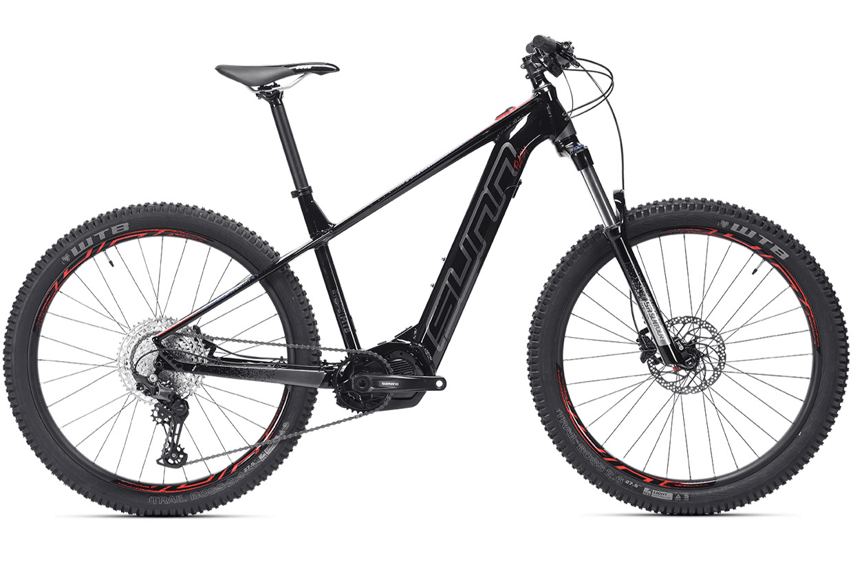 E-Mountain Bike - M / L