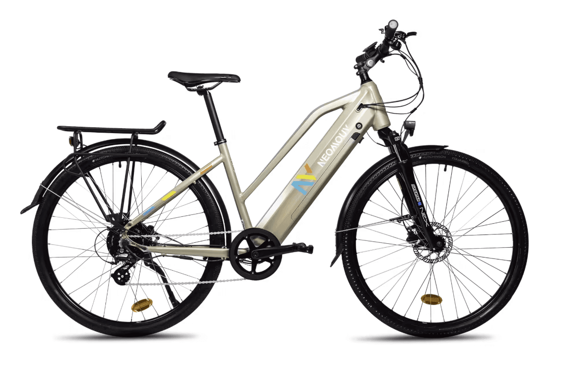 Electric All-Terrain Bike