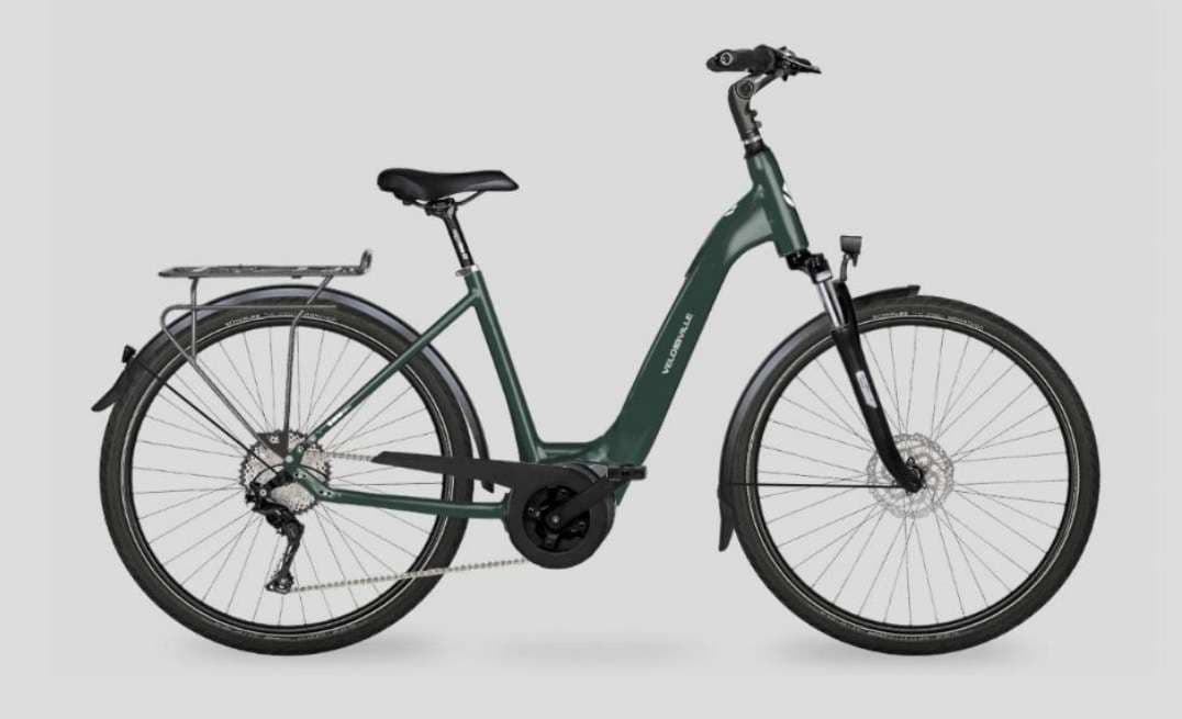 Electric Assistance Bike (Bosch Motor)
