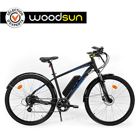 Electric Bike 28"