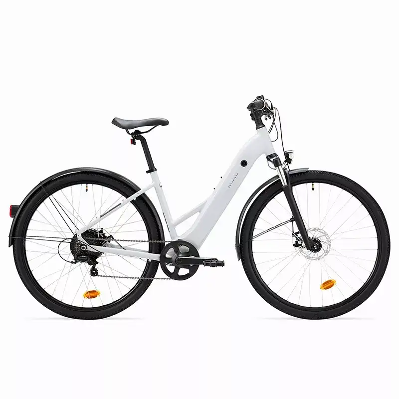 Electric bike