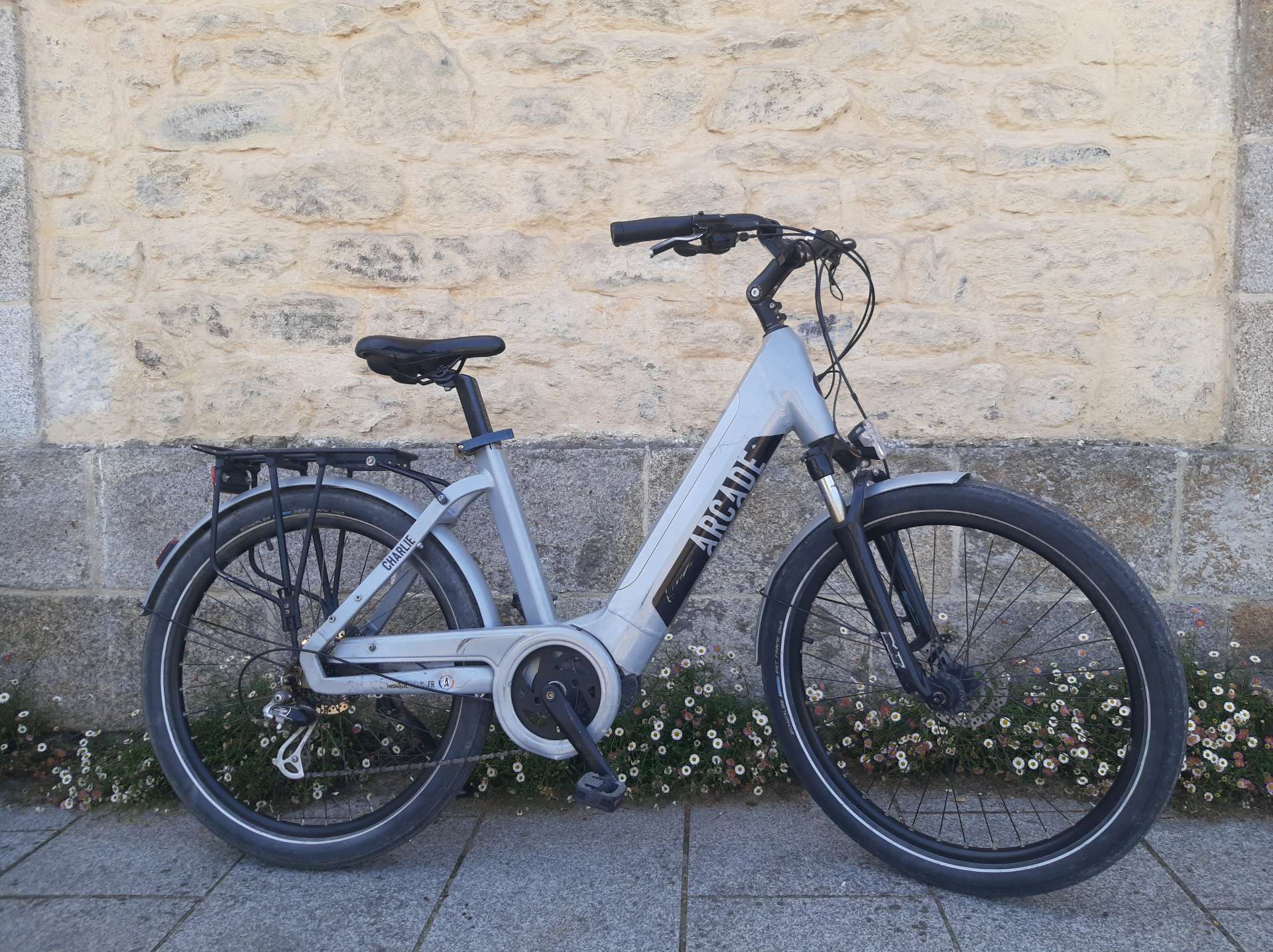 Electric Bike Charlie - M
