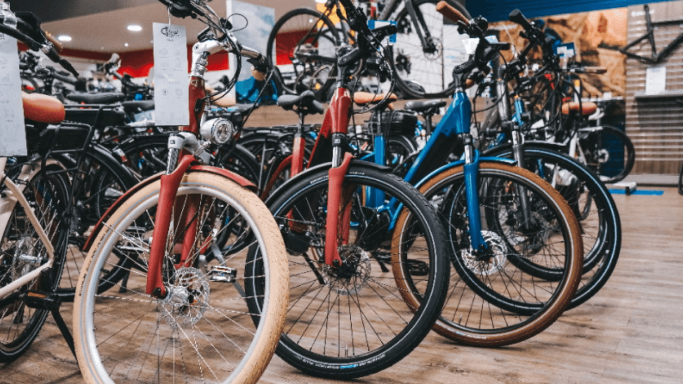 Electric Bike