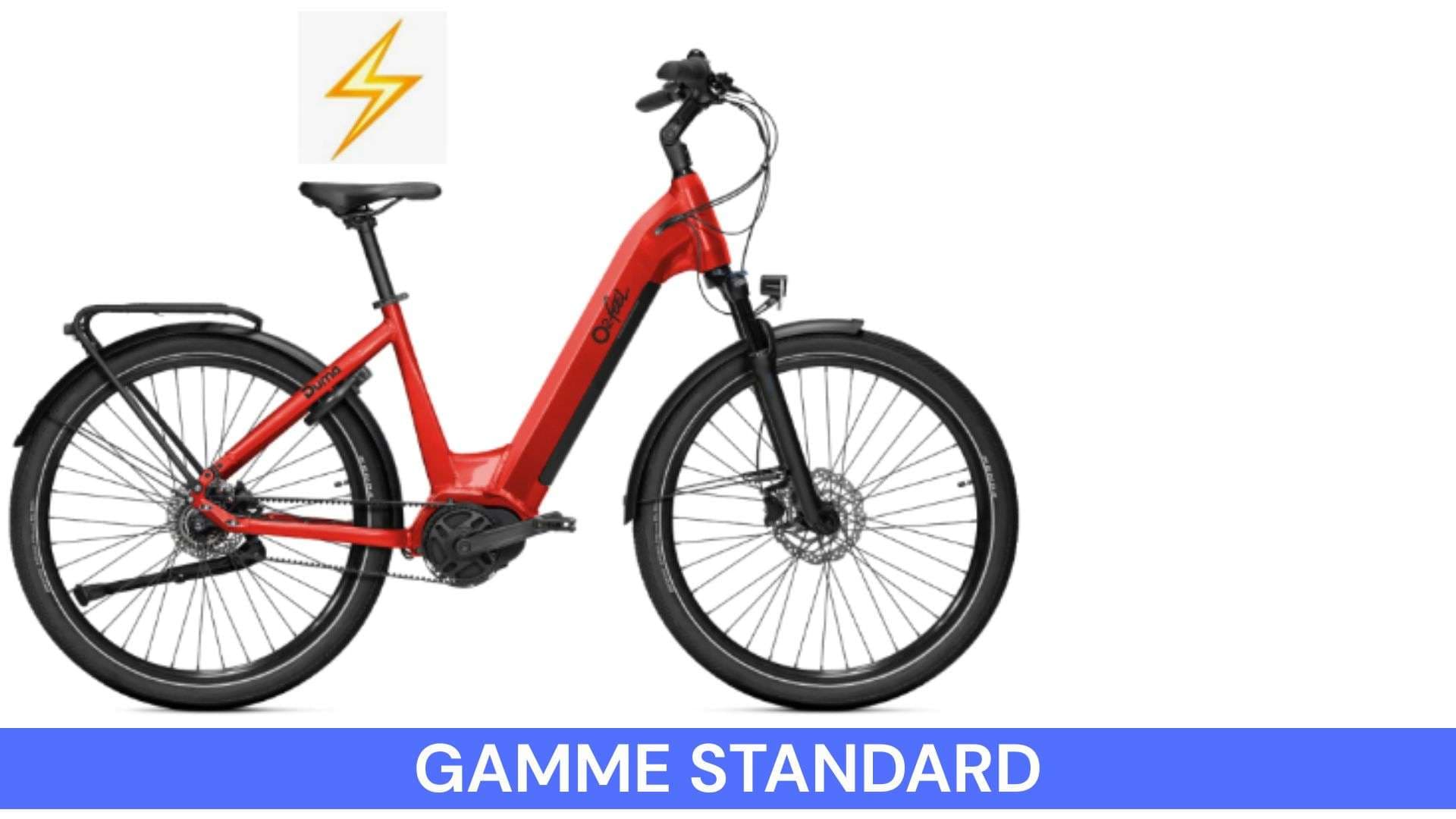 Electric Bike Standard Range 1.55 m / 1.75 m 70 Nm