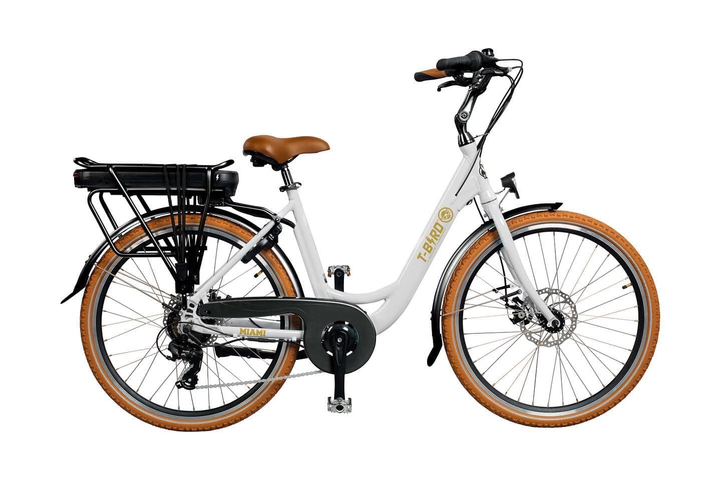 Electric Bike: T-bird - 1.50m to 1.90m