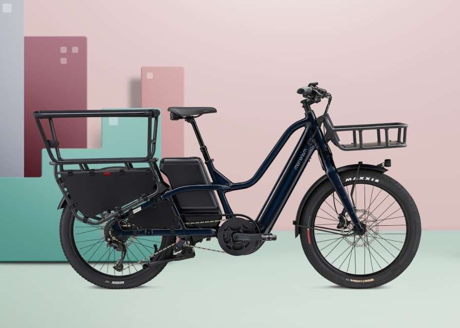 Electric Cargo Bike - 1.65m to 1.95m