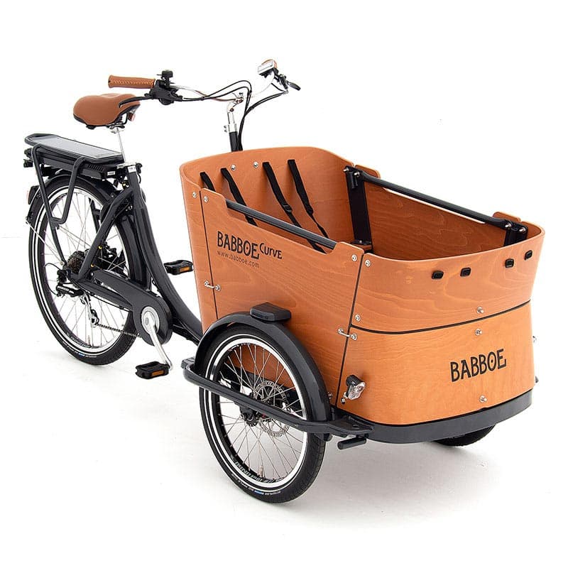 Electric Trike with Rear Wheel Motor