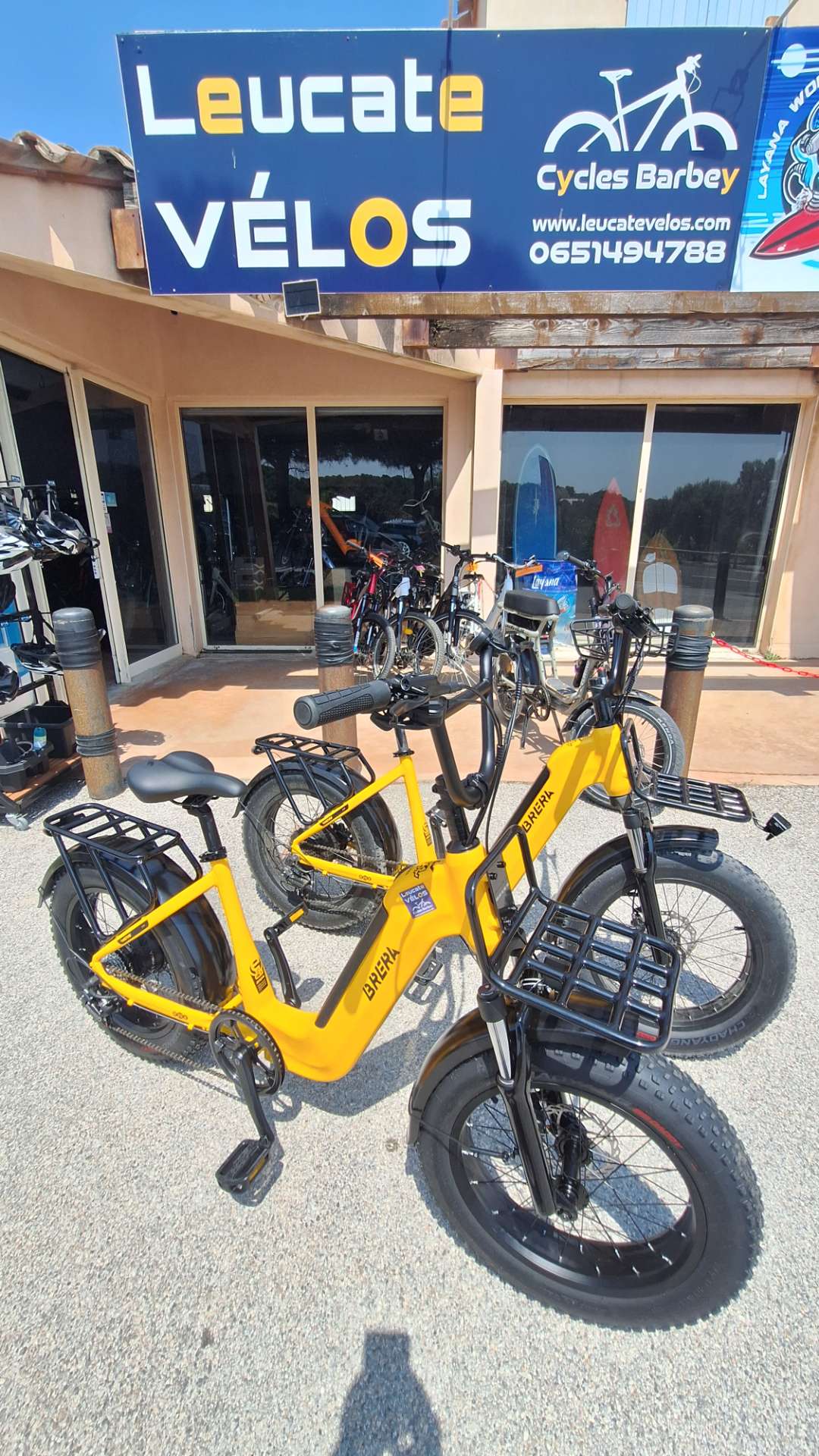 Fat Bike Brera Yellow