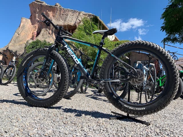 fatbike head