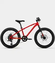 Kids' Mountain Bike 20 inches 6/9 years