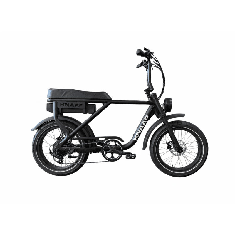 KNAAP MAX 130 KG 2-Seat Bike