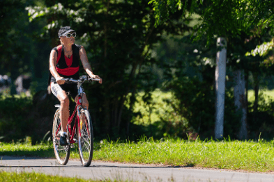Premium All-Terrain Bike