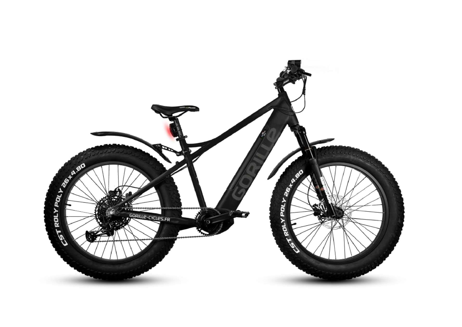 Premium Electric Assistance Fatbike