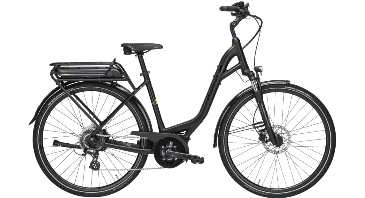 VAE PEGASUS t50
