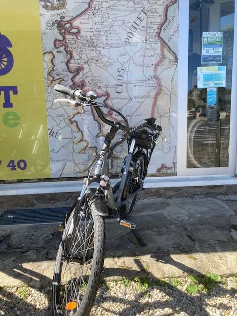 vélo musculaire adulte