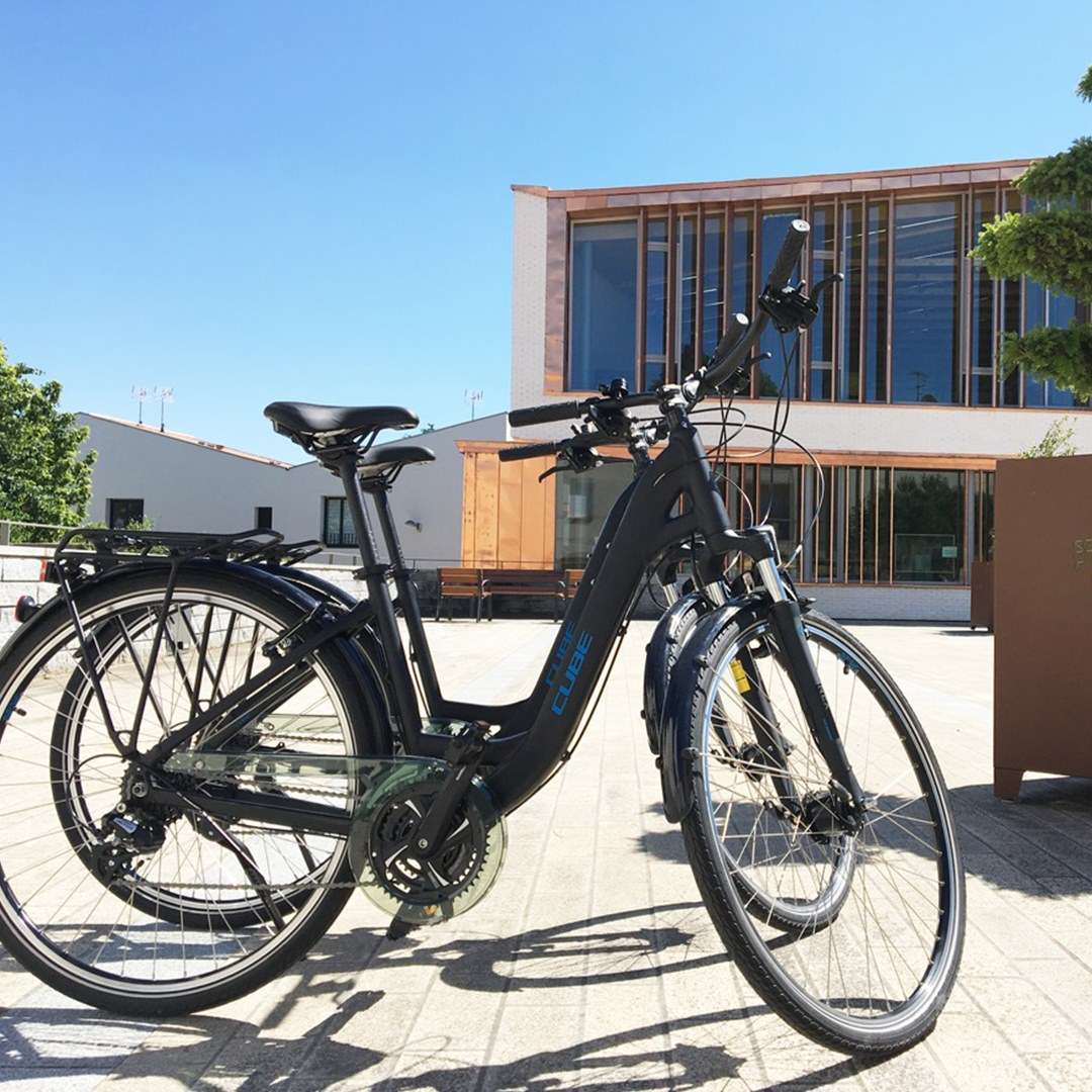 Vélo musculaire (VTC) - Taille S/M/L