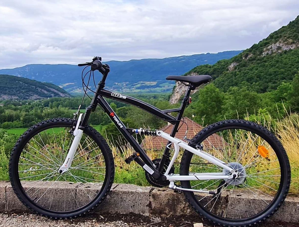 VTT adulte
