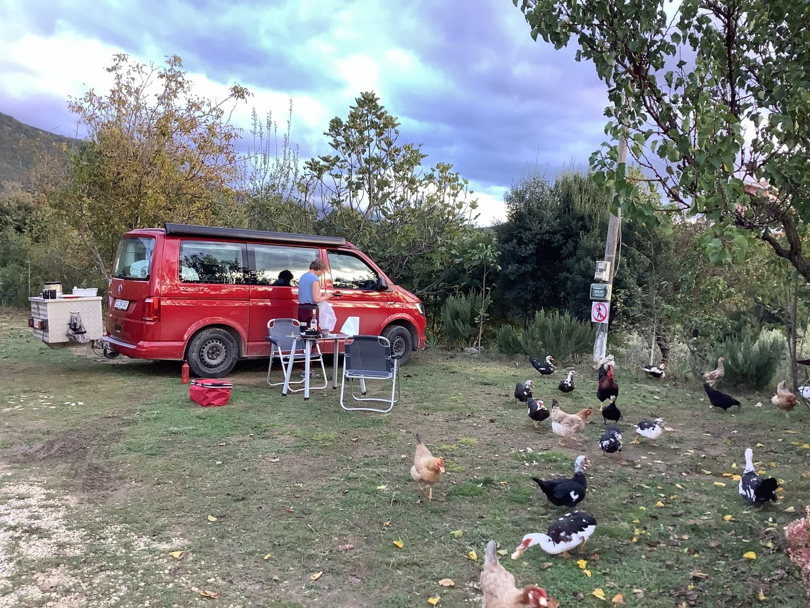 Hennings VW Campervan – Svendborg