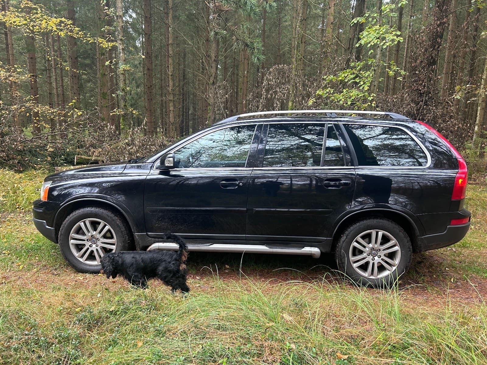 Madss Volvo Campervan – Brande