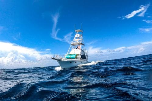 Enjoy a Day on the Open Sea - Fishing, Family Fun, and More – Pompano Beach
