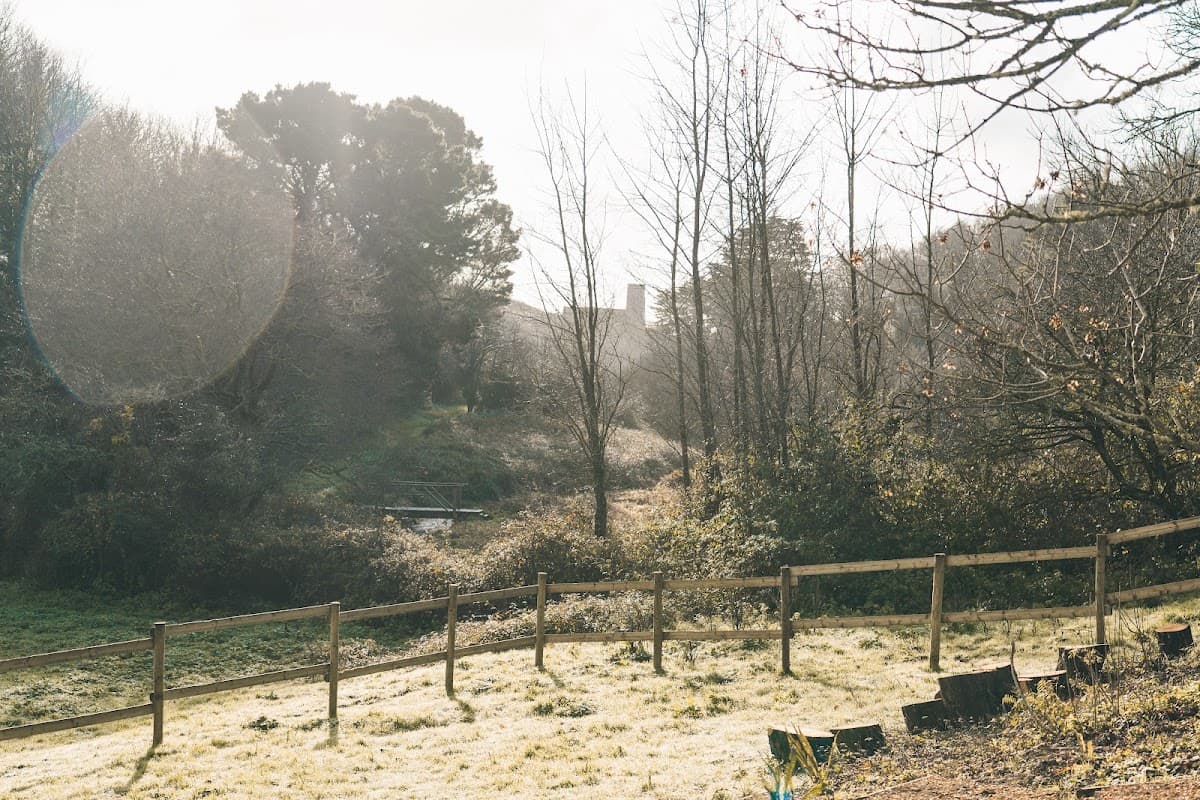 Wembury Wild Sauna – Plymouth