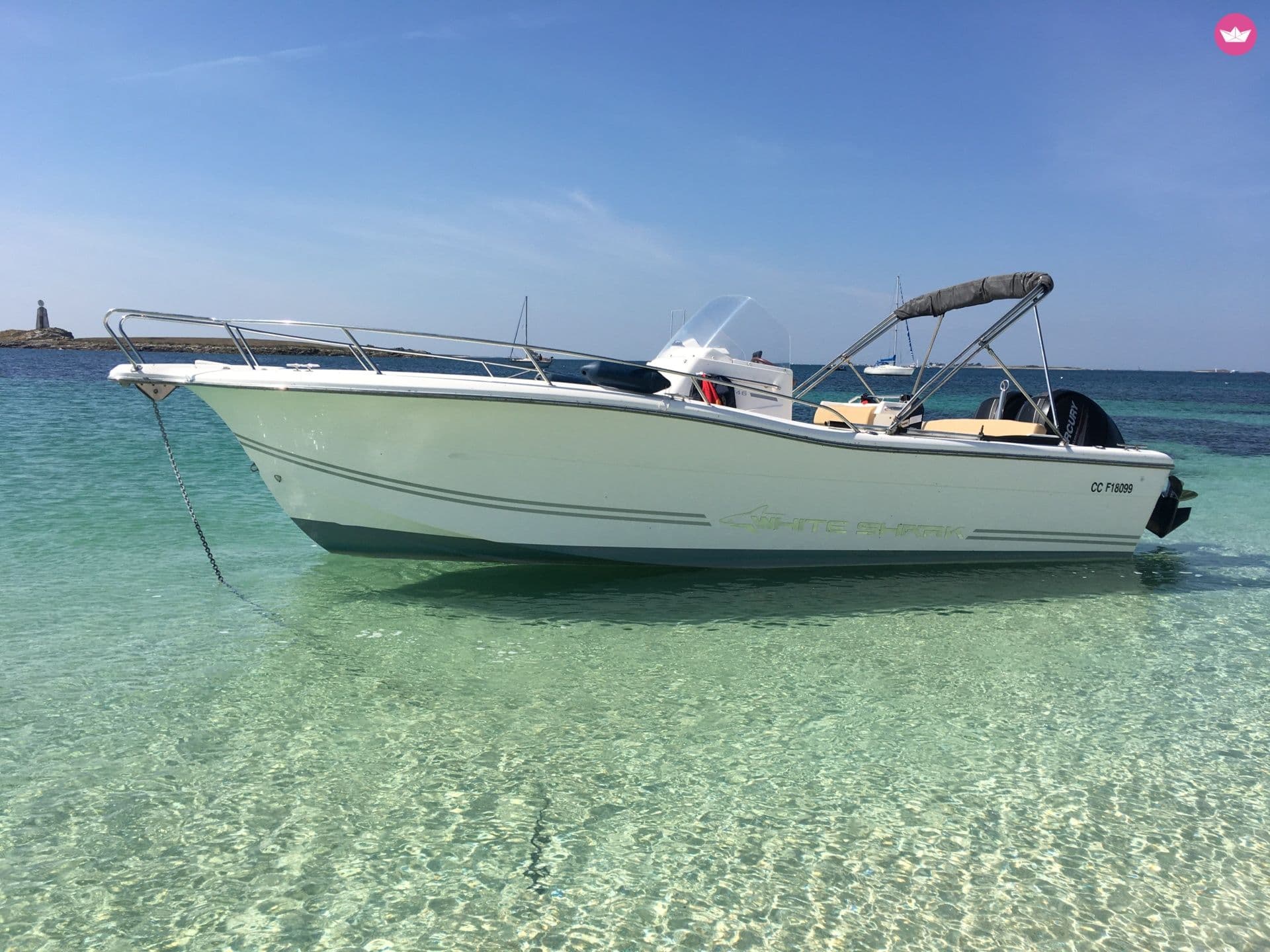 White shark 246 – Concarneau